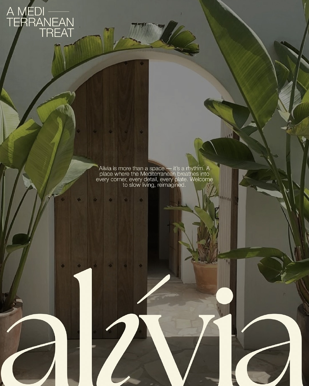 An arched Mediterranean doorway framed by lush plants and terracotta pots at alívia